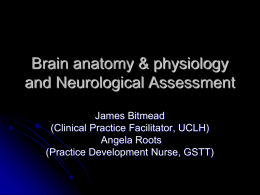 Neurological care (Stroke knowledge)