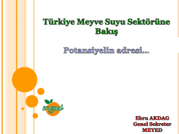 meyve_suyu_sektoru_sunumu_turkce_2012