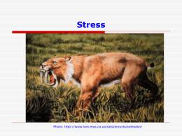 Stress Slides Class 5