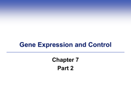 Ch. 7 Gene Expresion part 2