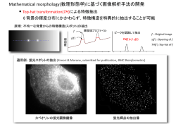 PowerPoint プレゼンテーション