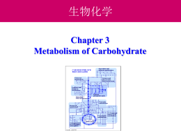 03-1 Metabolism of carbohydrate
