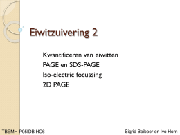 IDB HC 6 Eiwitzuivering 2