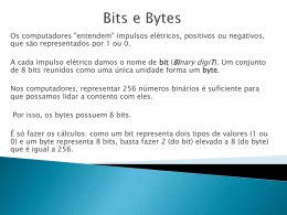 Bits e Bytes (Formato PPT – MS Office Power Point)
