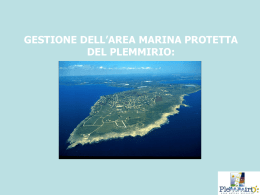 Presentazione Plemmirio (in powerpoint)