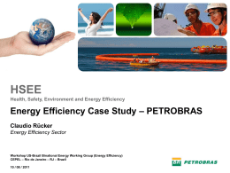 HSEE - US-Brazil Industrial Energy Efficiency Workshop