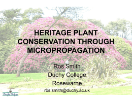 heritage plant conservation through micropropagation