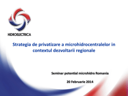 Strategia de privatizare a microhidrocentralelor in contextul