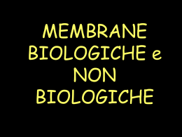 membrane biologiche