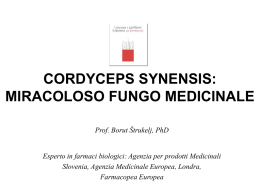 Cordyceps Synesis: Miracoloso fungo medicinale
