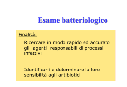 008 - Diagnostica - Sezione di Microbiologia
