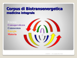 Corpus di Biotransenergetica - Integral Transpersonal Institute