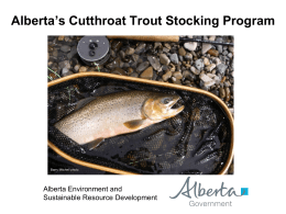 Alberta`s Cutthroat Trout Stocking Program - ESRD