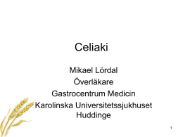 Celiaki Mikael Lördal Gastro Huddinge