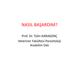 Prof.Dr.Tülin KARAGENÇ`in Sunumu