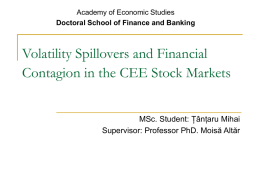 Volatility Spillovers and Financial Contagion in the CEE