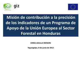 Apoyo presupuestario - Agenda Forestal Hondureña