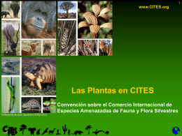 Las plantas en CITES