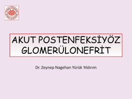 Akut glomerülonefrit - Prof.Dr. Ahmet NAYIR