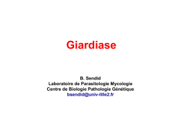 GIARDIOSE - Fichier