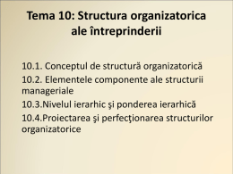 Tema 10: Structura organizatorica ale întreprinderii