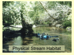 Lect4-Habitat_Processes