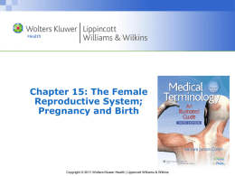 Pregnancy and Birth
