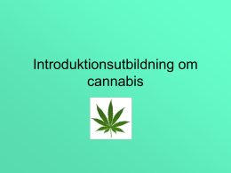 Introduktionutbildning om cannabis