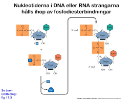 Cellcykeln och DNA replikation,BIT