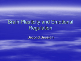 Brain Plasticity and Emotional Regulation