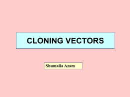 lect 6- Types ofCloning Vectors