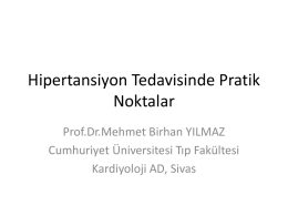 1332337342_ - Prof.Dr. Mehmet Birhan Yılmaz