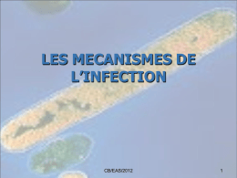 les mécanismes de l`infection