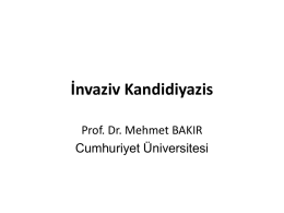 Kandida YBÜ - Prof.Dr.Mehmet Bakır