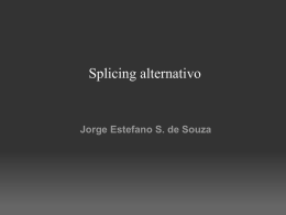 Trabalho Splicing (Jorge Estefano)
