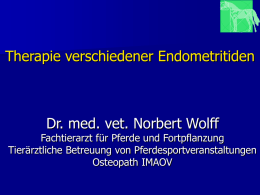 - Dr. Norbert Wolff