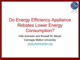 Effects of rebates on energy consumption