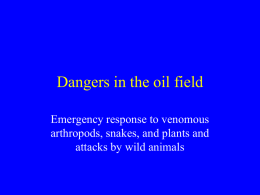 Dangers in the oil field