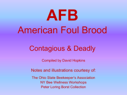 American Foulbrood Presentation