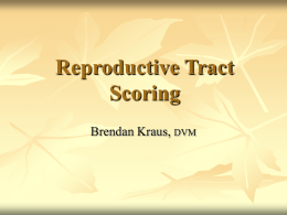 Reproductive Tract Scoring