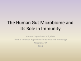 The Human Gut Microbiome and Its Role in Immunity