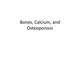Bones, Calcium, and Osteoporosis