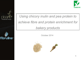 Using Chicory Inulin to Achieve Fibre and Protein Enrichment for