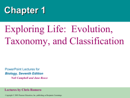 ppt lecture