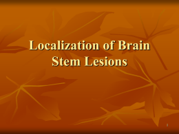 Localization of Brain Stem Lesions