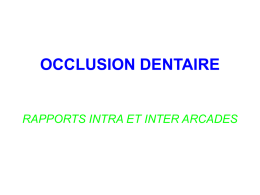 OCCLUSION DENTAIRE RAPPORTS INTRA ET INTER