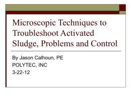 Microscopic Techniques to Troubleshoot Activated Sludge