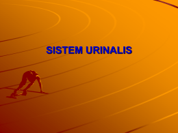 SISTEM URINALIS - UNAIR | E