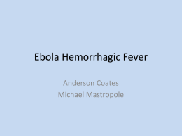 Ebola Hemorrhagic Fever