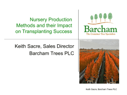 Nursery Production methods and their Impact on Transplanting